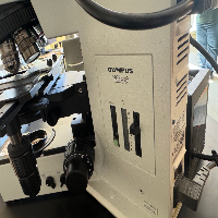 Olympus BX50 Training Microscope image 3